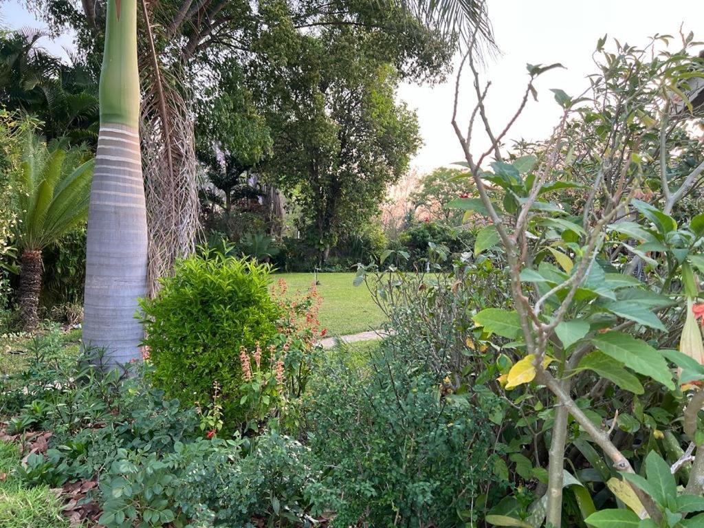 Golden Bamboo Hotel Nyanda Kültér fotó